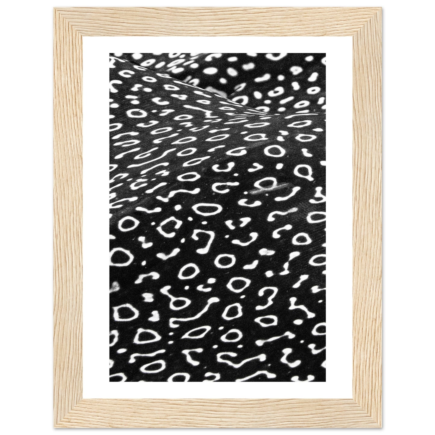 AWARD WINNER 2023 - SPOTTED EAGLE RAY PATTERN - WOODEN FRAME