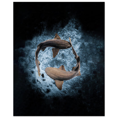 2023 AWARD WINNER - YING YANG NURSE SHARS - MATTE POSTER