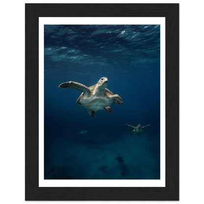 ONE FOR ALL - TURTLE ODYSSEY - WOODEN FRAME