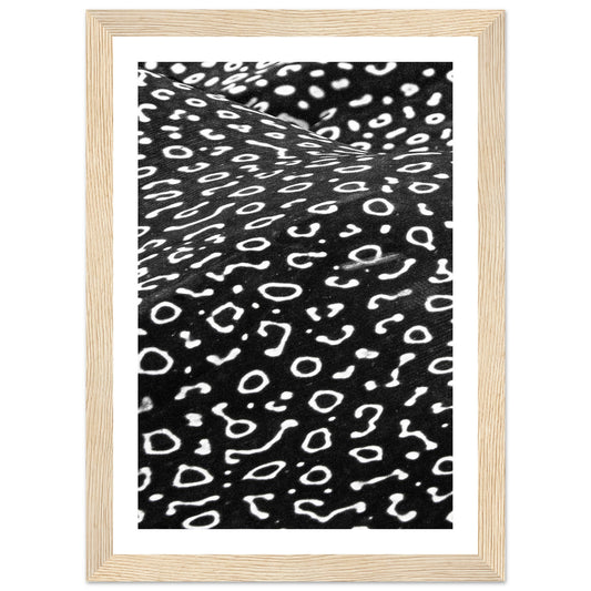AWARD WINNER 2023 - SPOTTED EAGLE RAY PATTERN - WOODEN FRAME