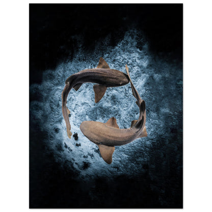 2023 AWARD WINNER - YING YANG NURSE SHARS - MATTE POSTER