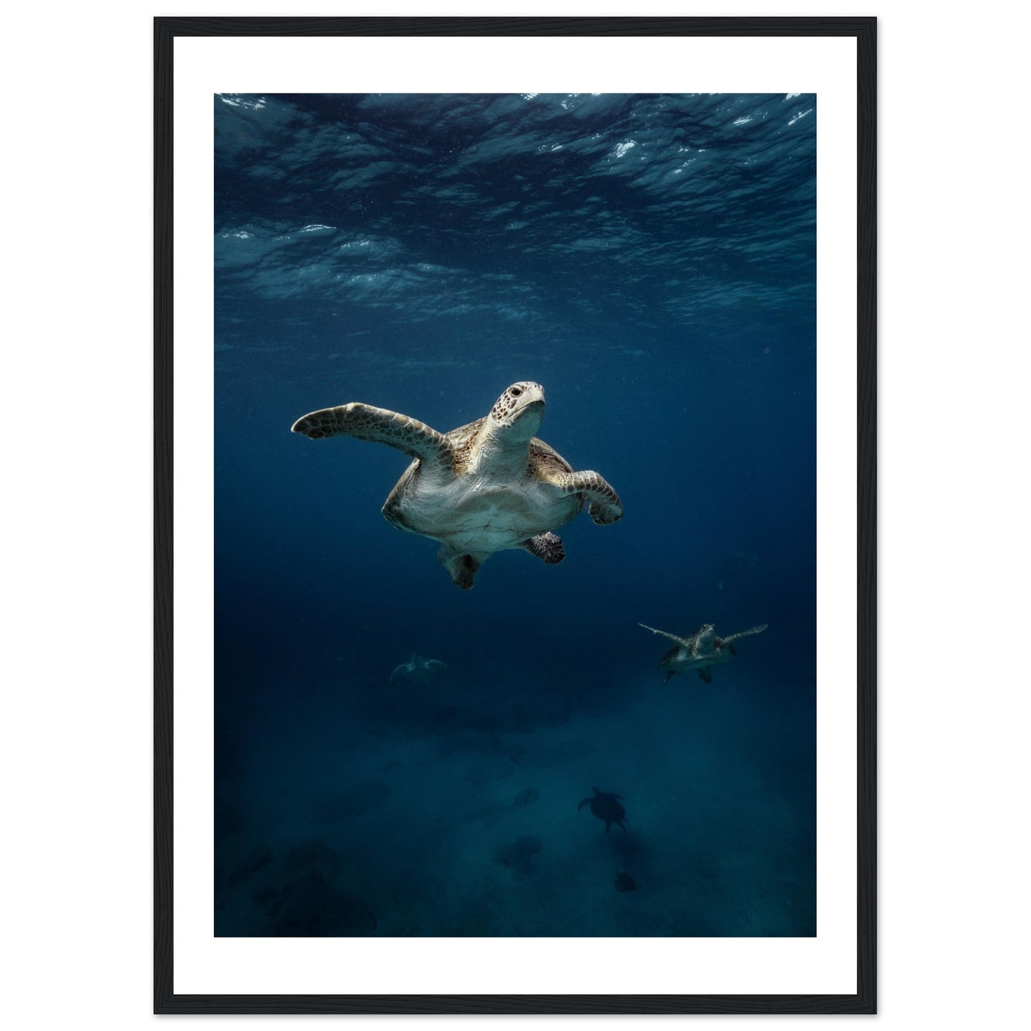 ONE FOR ALL - TURTLE ODYSSEY - WOODEN FRAME