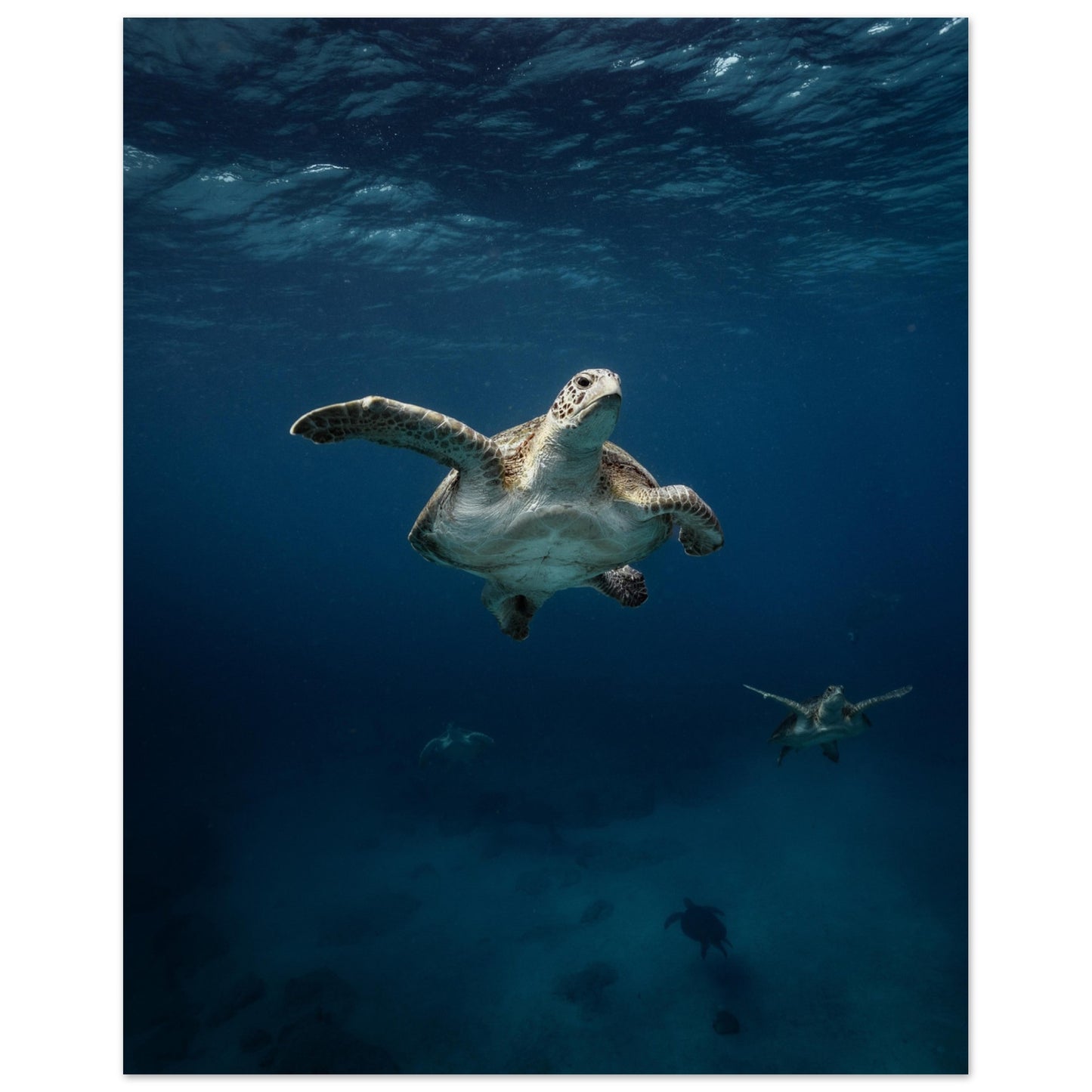 ONE FOR ALL - TURTLE ODYSSEY - MATTE POSTER