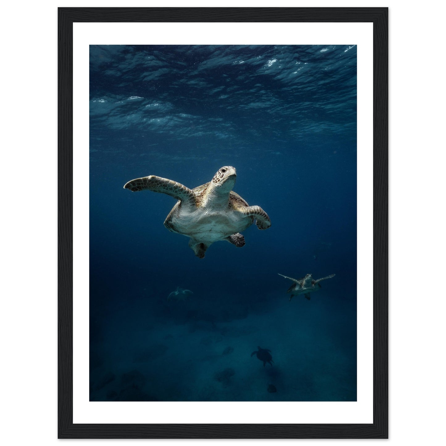 ONE FOR ALL - TURTLE ODYSSEY - WOODEN FRAME