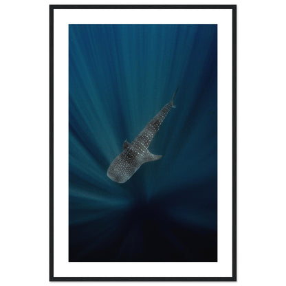WHALE SHARK IN THE DARKNESS - WOODEN FRAME