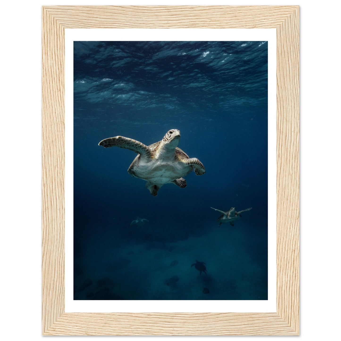 ONE FOR ALL - TURTLE ODYSSEY - WOODEN FRAME