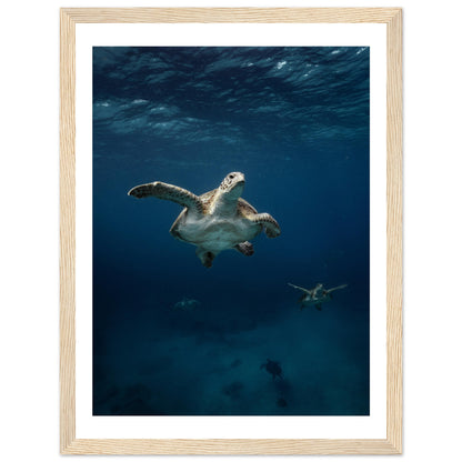 ONE FOR ALL - TURTLE ODYSSEY - WOODEN FRAME