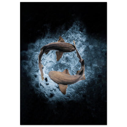 2023 AWARD WINNER - YING YANG NURSE SHARS - MATTE POSTER