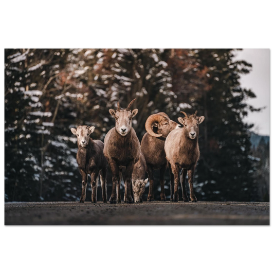 9f3a2380-3ff0-409e-a150-32a93c88c788