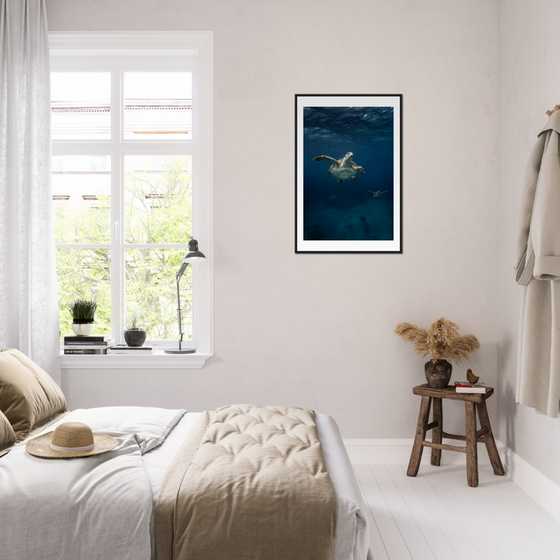 ONE FOR ALL - TURTLE ODYSSEY - WOODEN FRAME