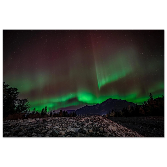 a0cdba87-777a-4251-81f7-90f1da77e6ad