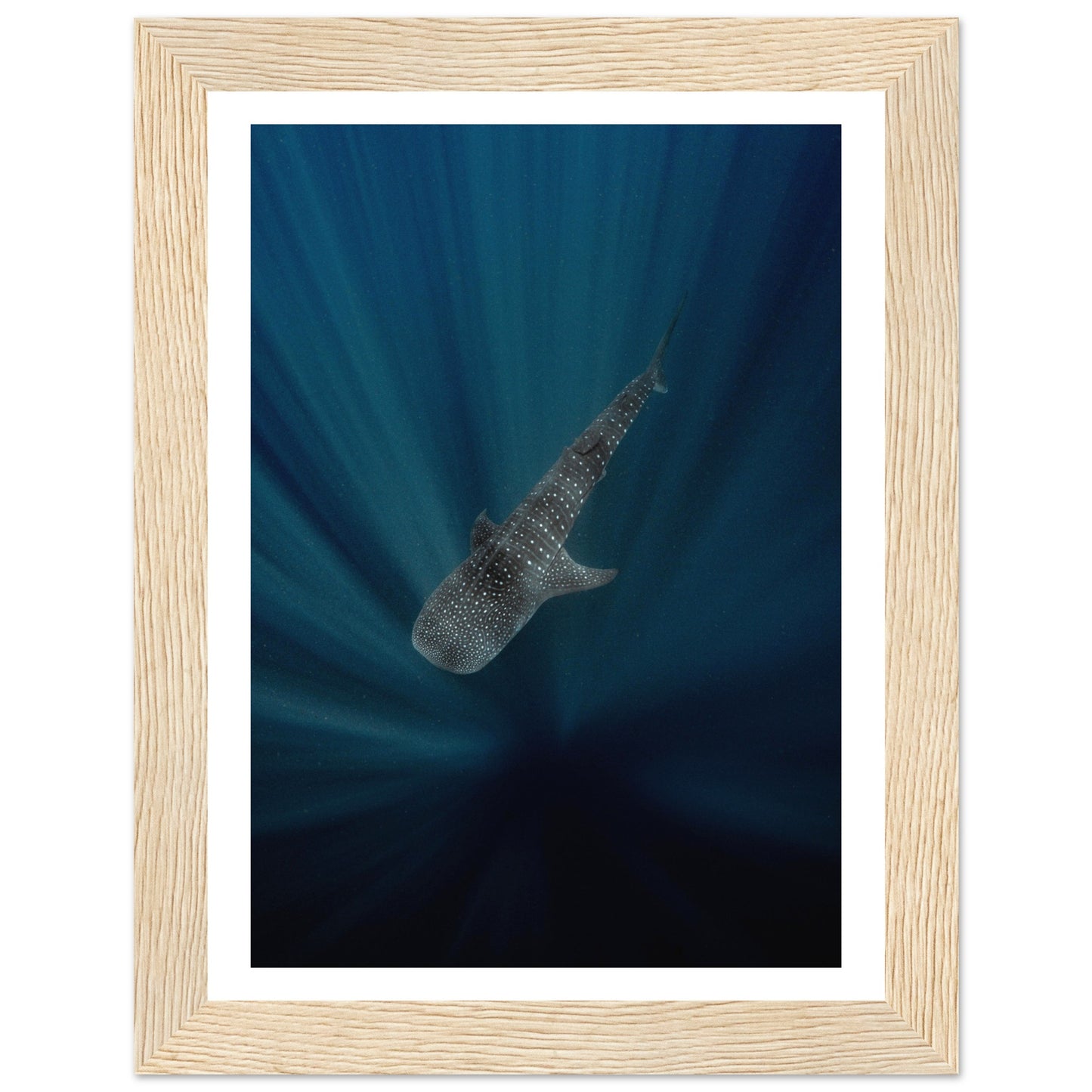 WHALE SHARK IN THE DARKNESS - WOODEN FRAME