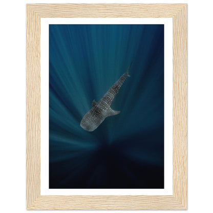 WHALE SHARK IN THE DARKNESS - WOODEN FRAME