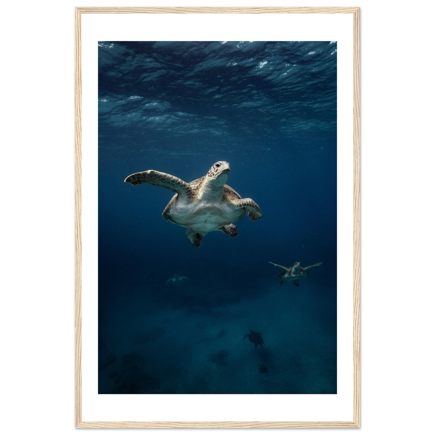 ONE FOR ALL - TURTLE ODYSSEY - WOODEN FRAME