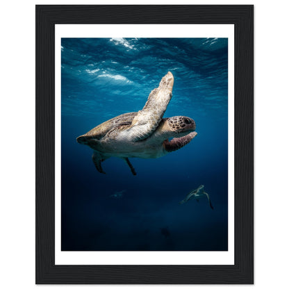 MATING SEA TURTLES - WOODEN FRAME