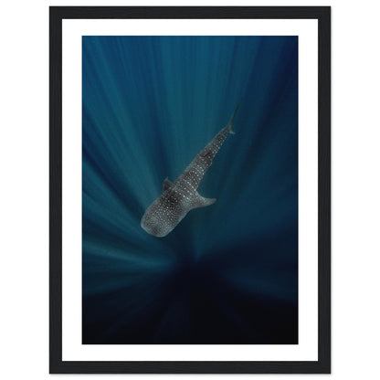 WHALE SHARK IN THE DARKNESS - WOODEN FRAME
