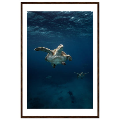 ONE FOR ALL - TURTLE ODYSSEY - WOODEN FRAME