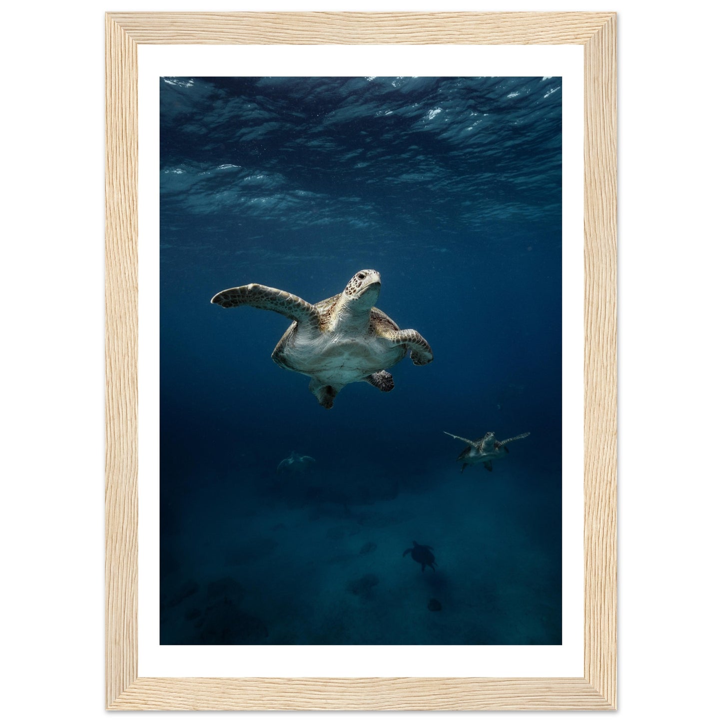 ONE FOR ALL - TURTLE ODYSSEY - WOODEN FRAME