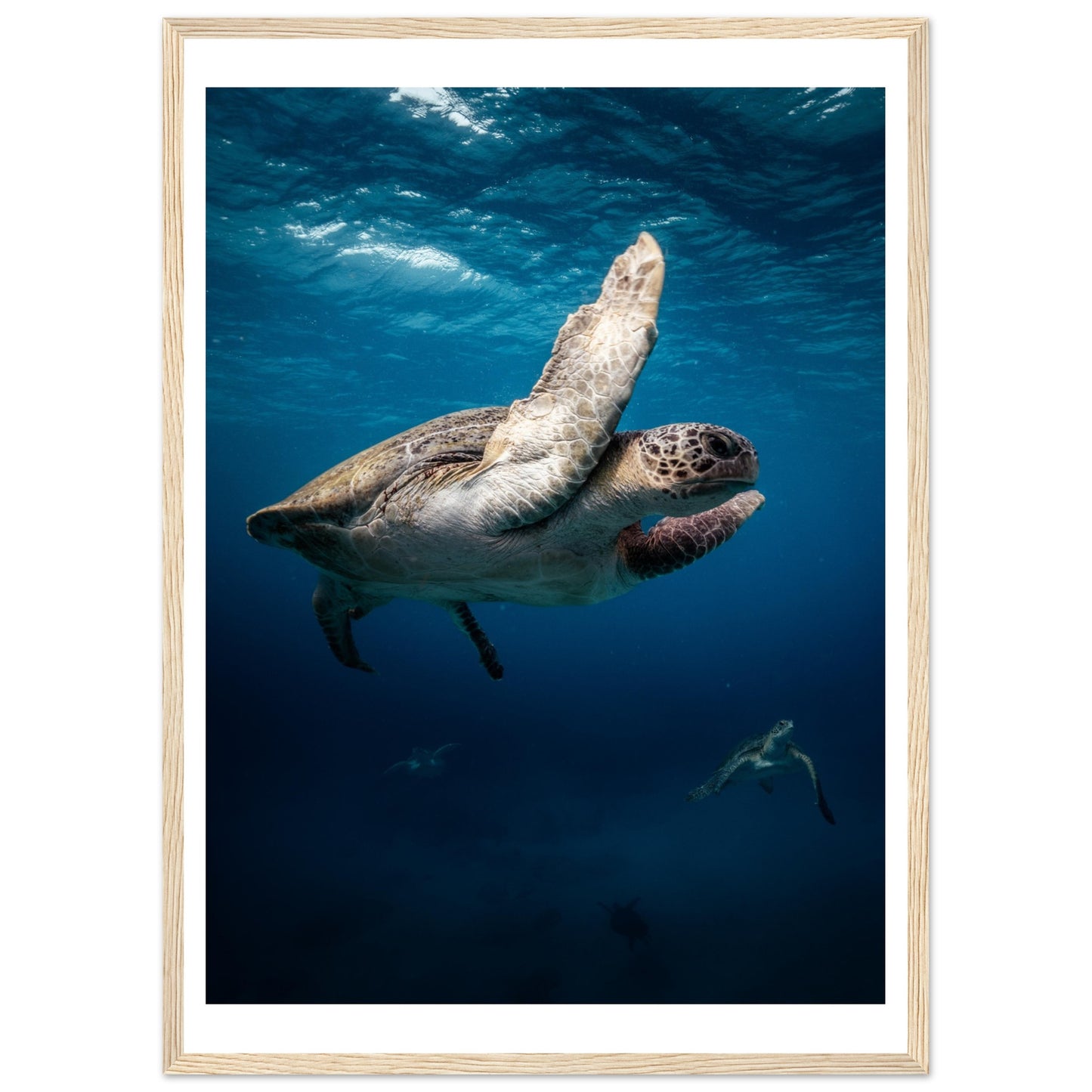 MATING SEA TURTLES - WOODEN FRAME