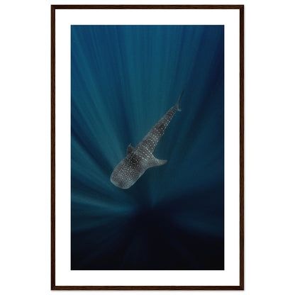 WHALE SHARK IN THE DARKNESS - WOODEN FRAME