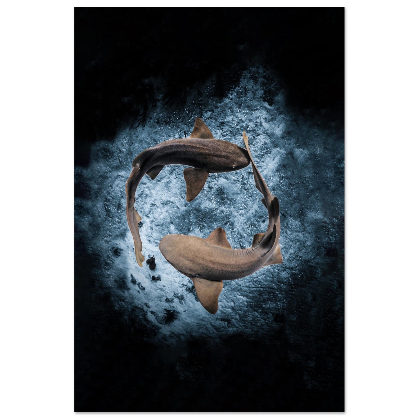 2023 AWARD WINNER - YING YANG NURSE SHARS - MATTE POSTER