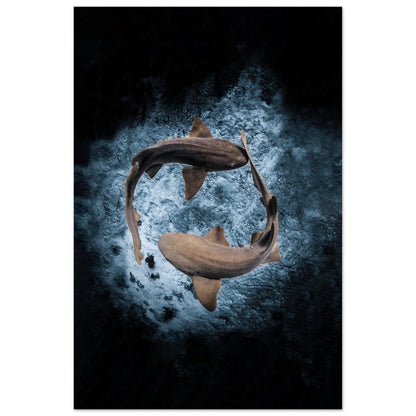 2023 AWARD WINNER - YING YANG NURSE SHARS - MATTE POSTER