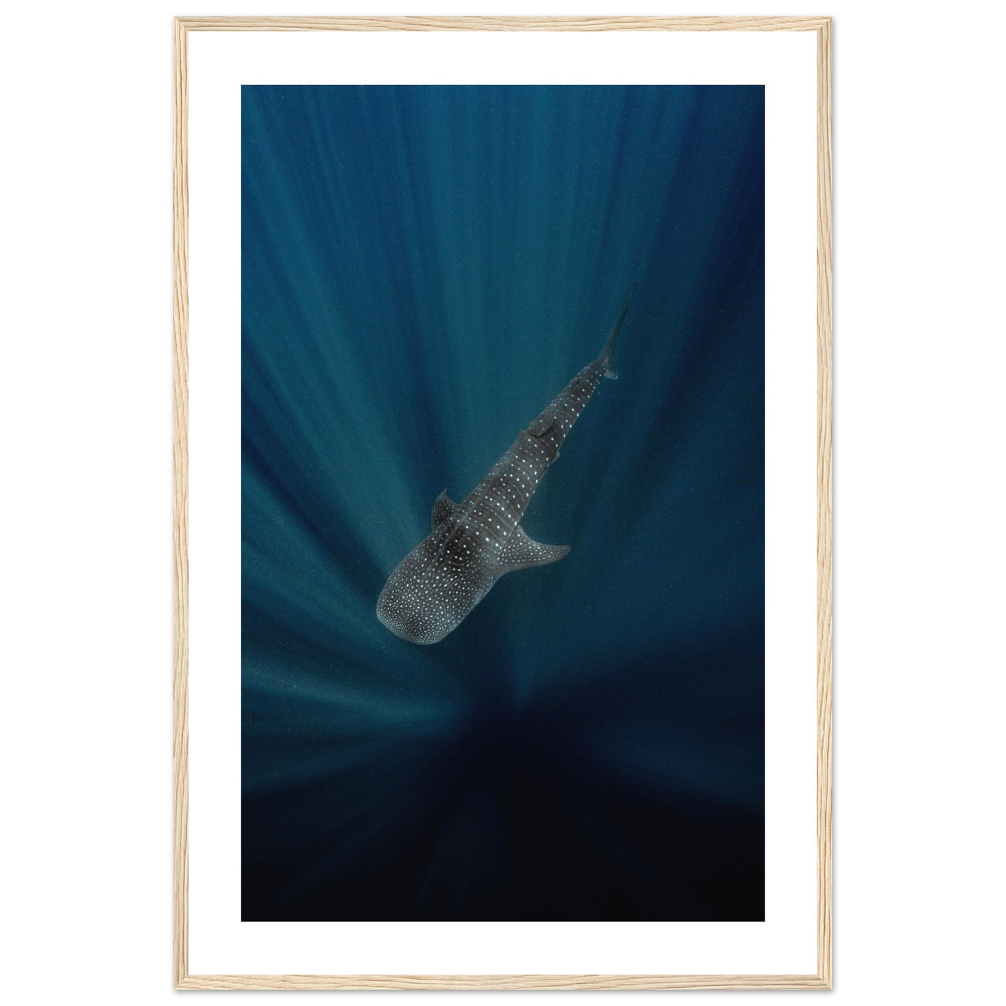 WHALE SHARK IN THE DARKNESS - WOODEN FRAME