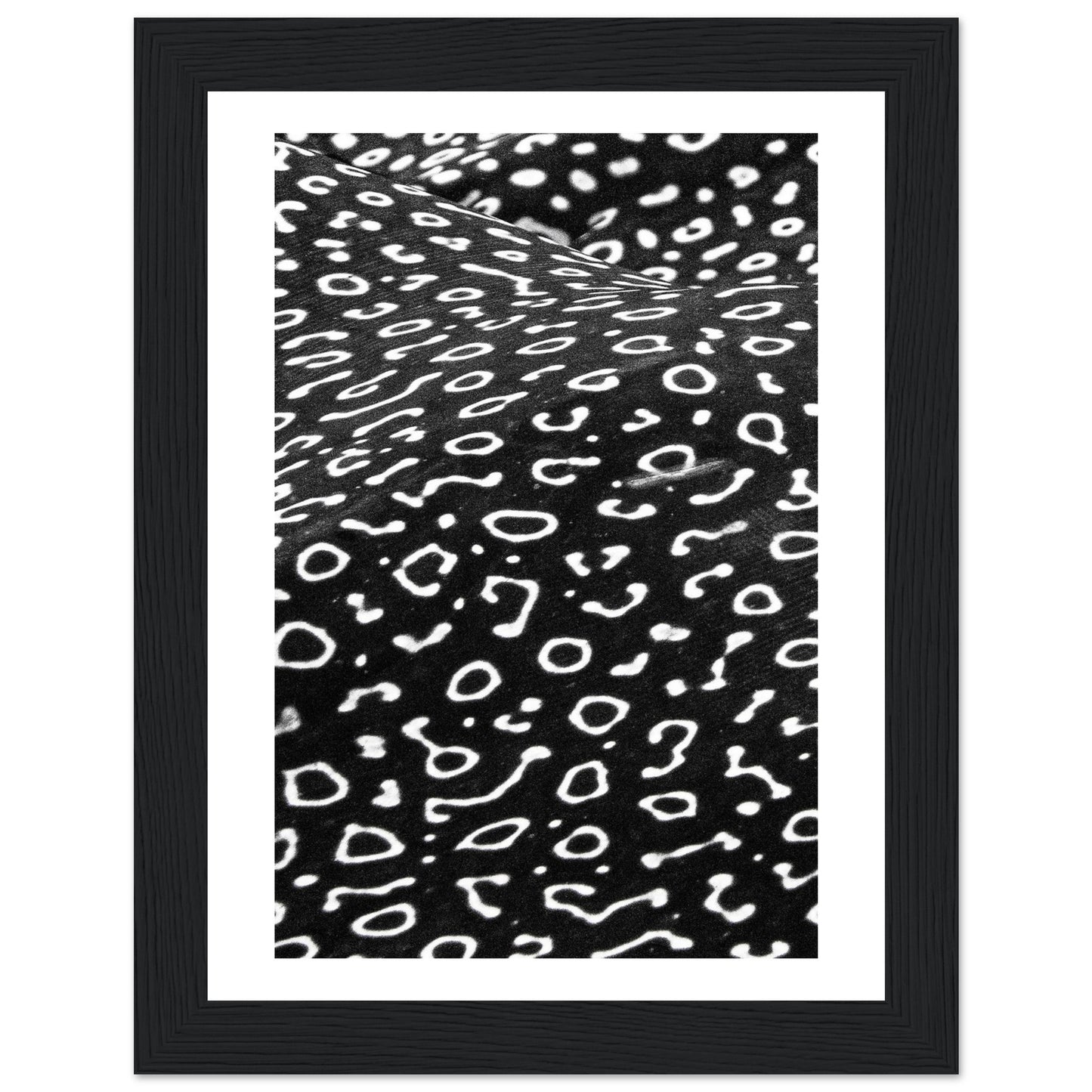 AWARD WINNER 2023 - SPOTTED EAGLE RAY PATTERN - WOODEN FRAME