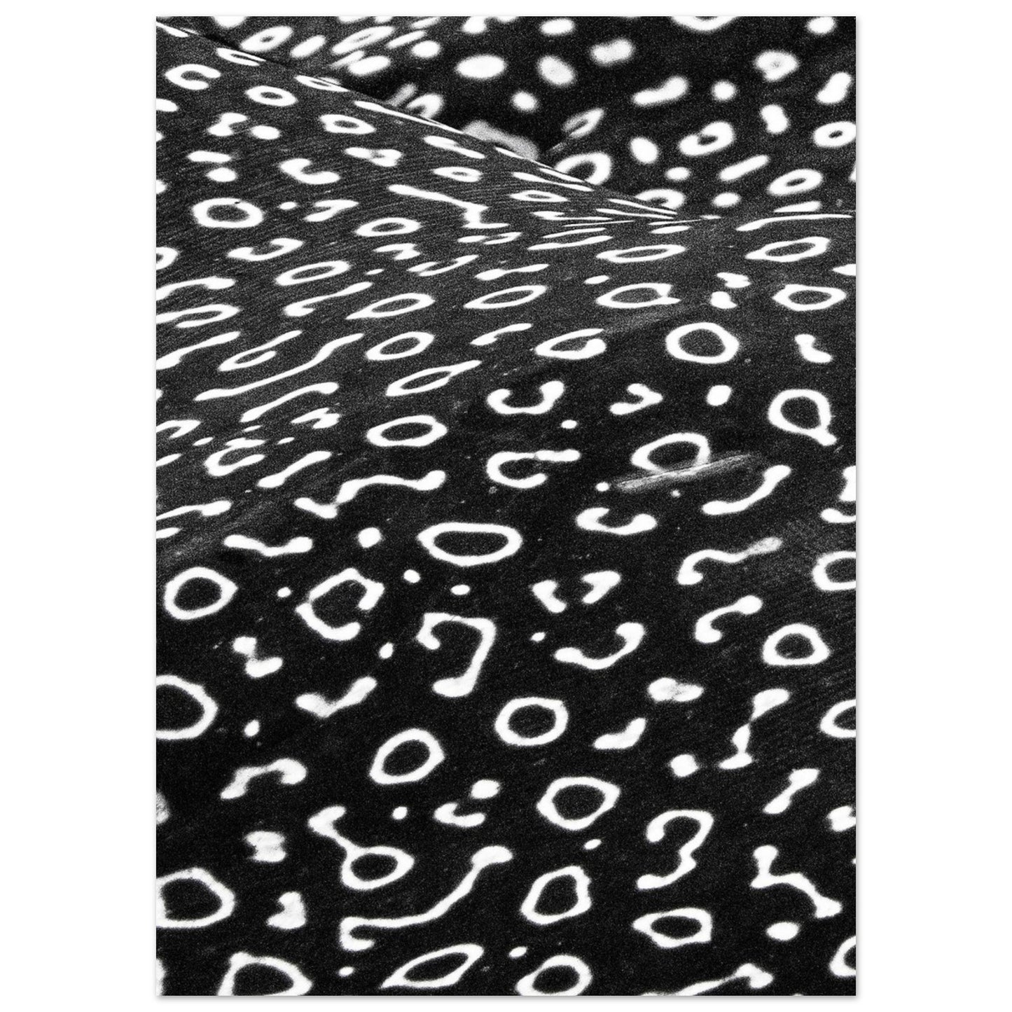 AWARD WINNER 2023 - SPOTTED EAGLE RAY PATTERN - MATTE POSTER