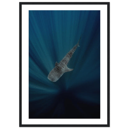 WHALE SHARK IN THE DARKNESS - WOODEN FRAME