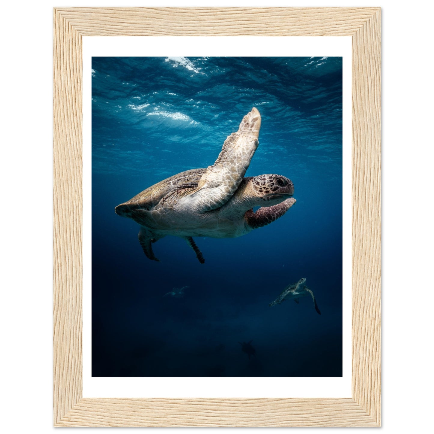 MATING SEA TURTLES - WOODEN FRAME