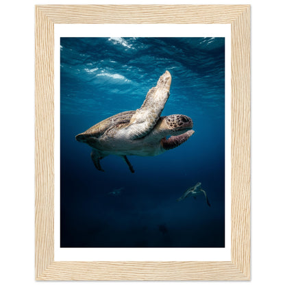 MATING SEA TURTLES - WOODEN FRAME