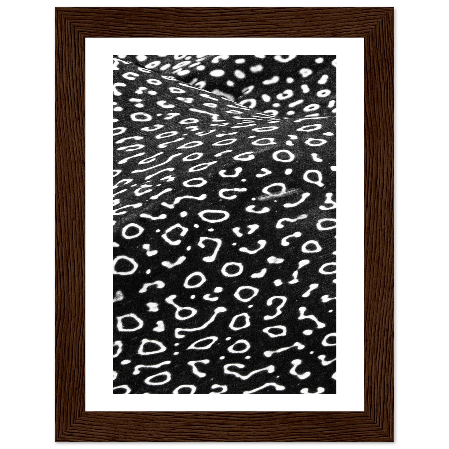 AWARD WINNER 2023 - SPOTTED EAGLE RAY PATTERN - WOODEN FRAME