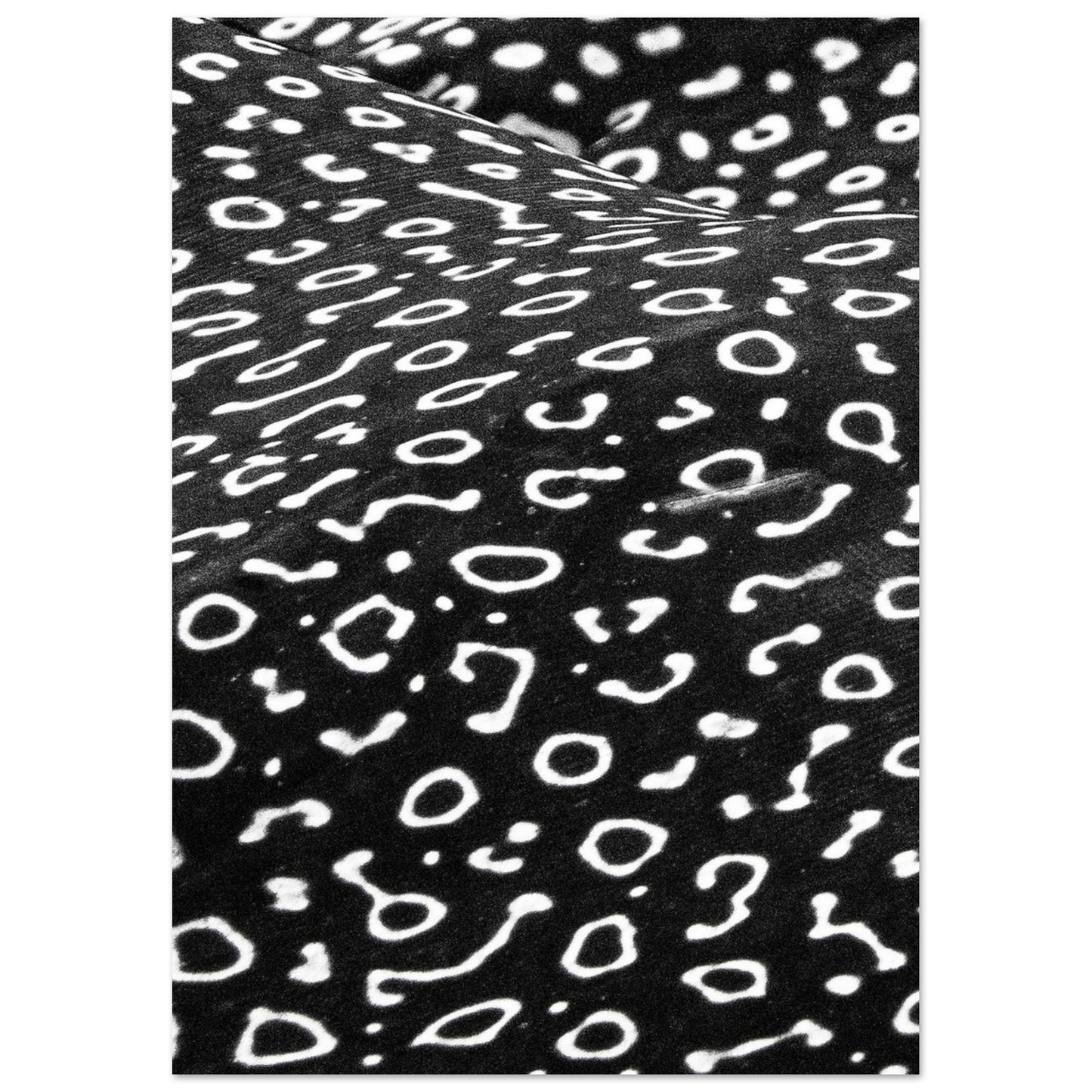 AWARD WINNER 2023 - SPOTTED EAGLE RAY PATTERN - MATTE POSTER