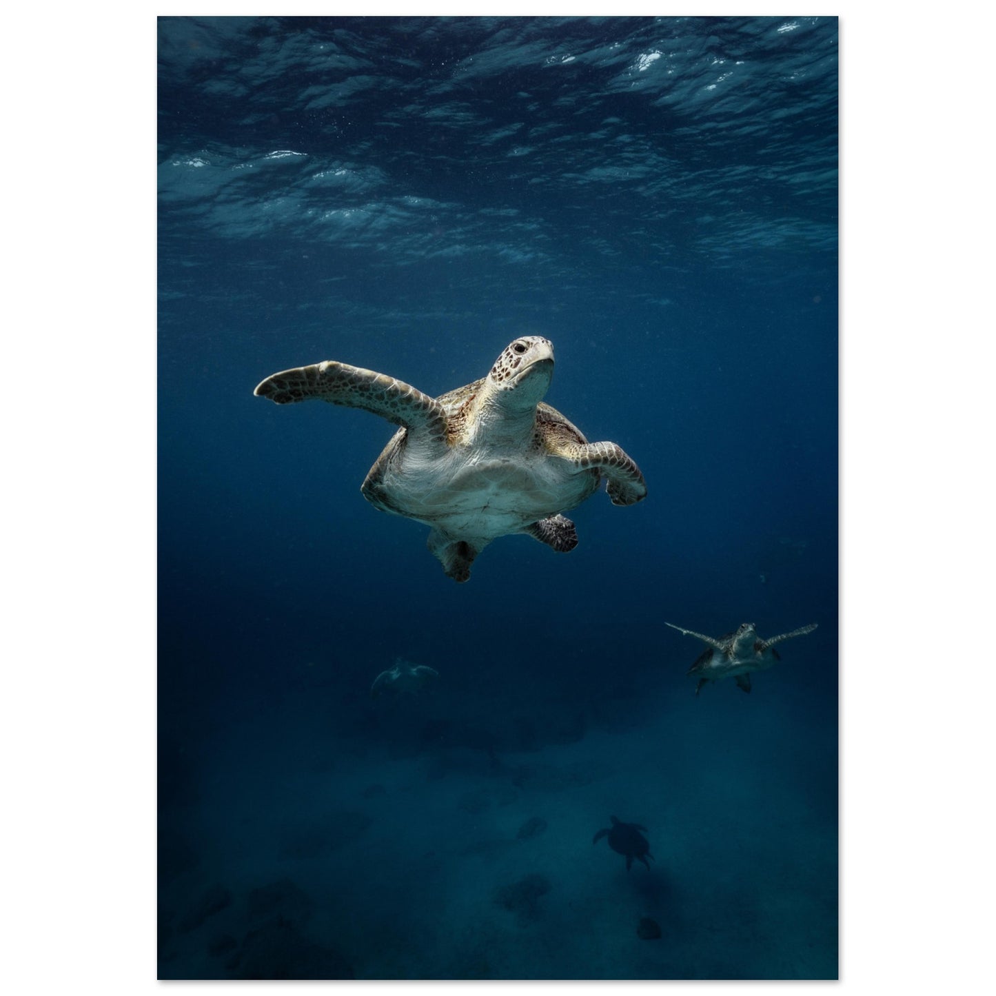 ONE FOR ALL - TURTLE ODYSSEY - MATTE POSTER