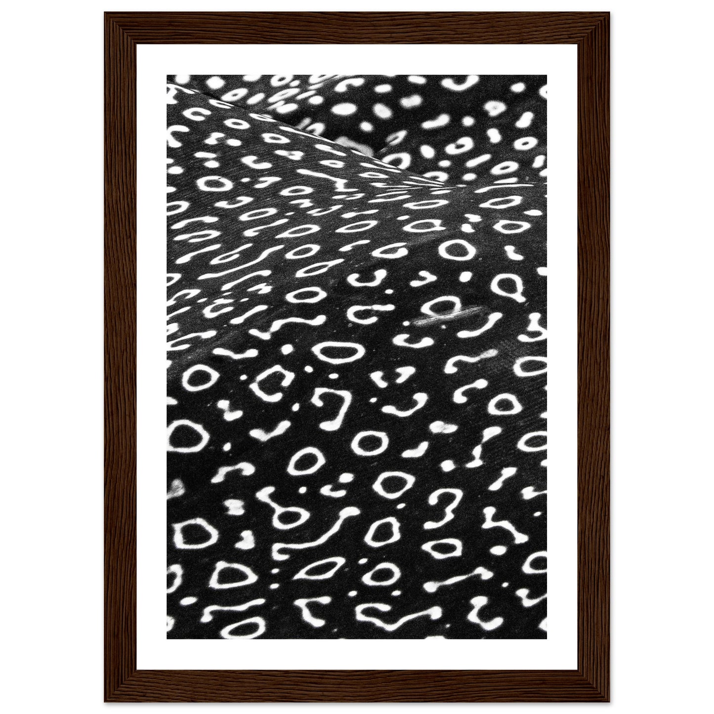 AWARD WINNER 2023 - SPOTTED EAGLE RAY PATTERN - WOODEN FRAME