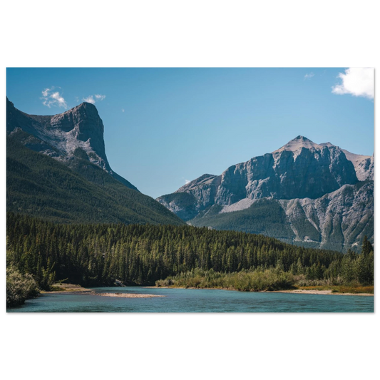 d437cbfb-11e4-4cbb-8cd0-70b4b306960f