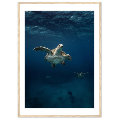 ONE FOR ALL - TURTLE ODYSSEY - WOODEN FRAME