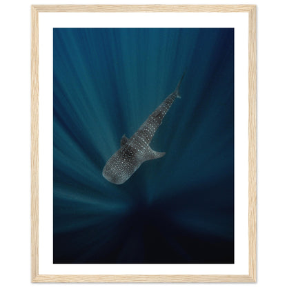 WHALE SHARK IN THE DARKNESS - WOODEN FRAME