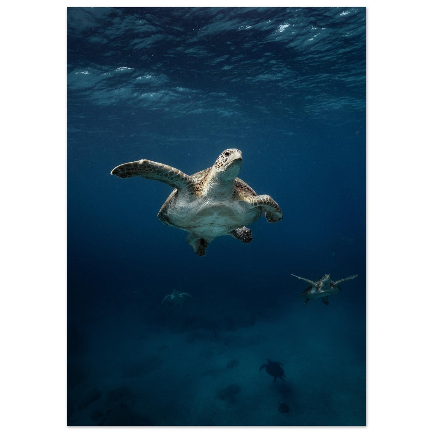 ONE FOR ALL - TURTLE ODYSSEY - MATTE POSTER
