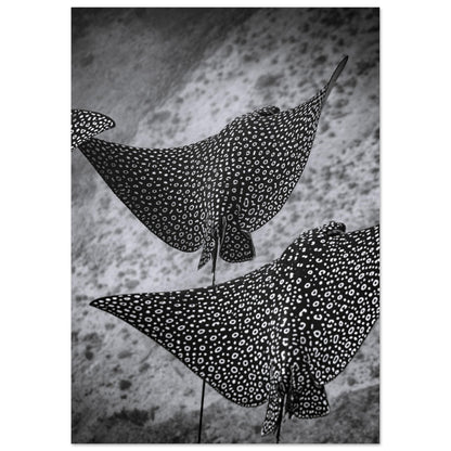 SPOTTED EAGLE RAY SQUAD - MATTE POSTER