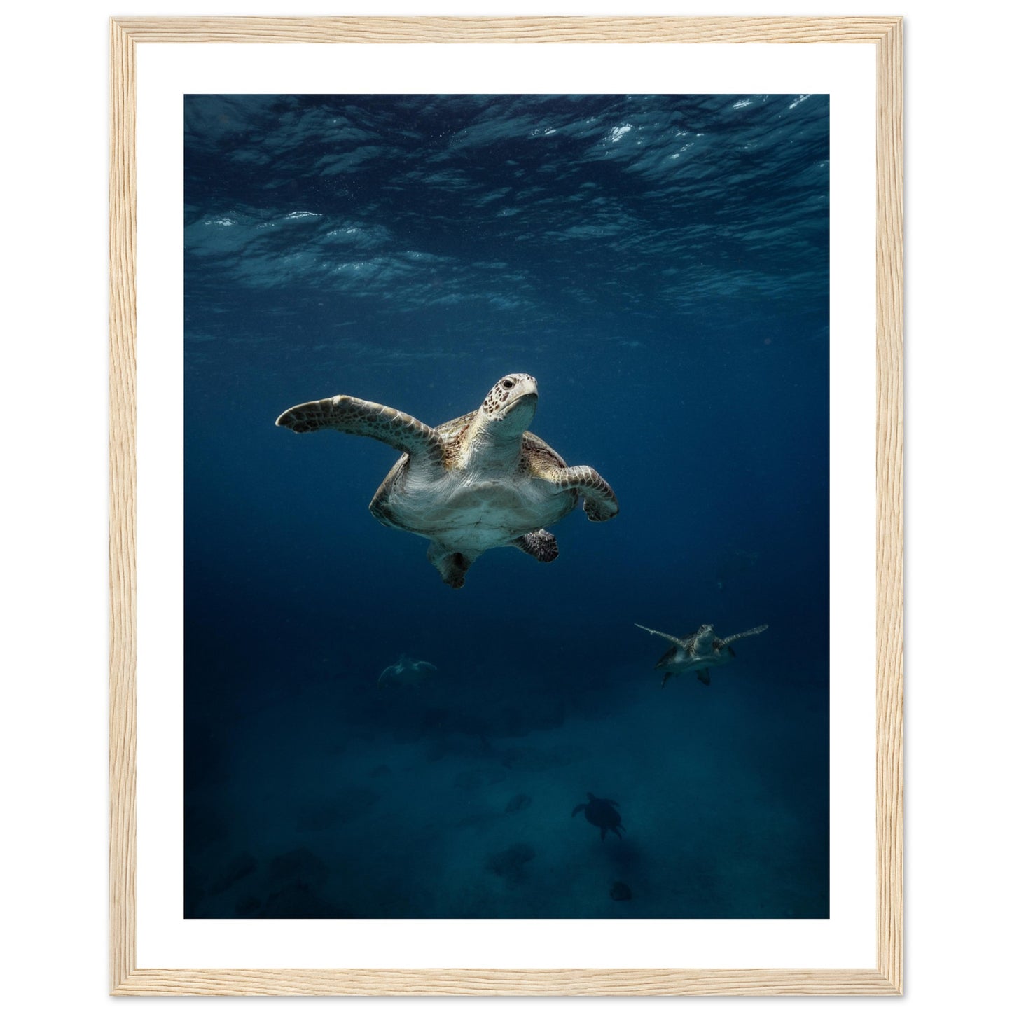 ONE FOR ALL - TURTLE ODYSSEY - WOODEN FRAME