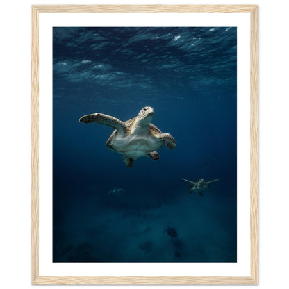 ONE FOR ALL - TURTLE ODYSSEY - WOODEN FRAME