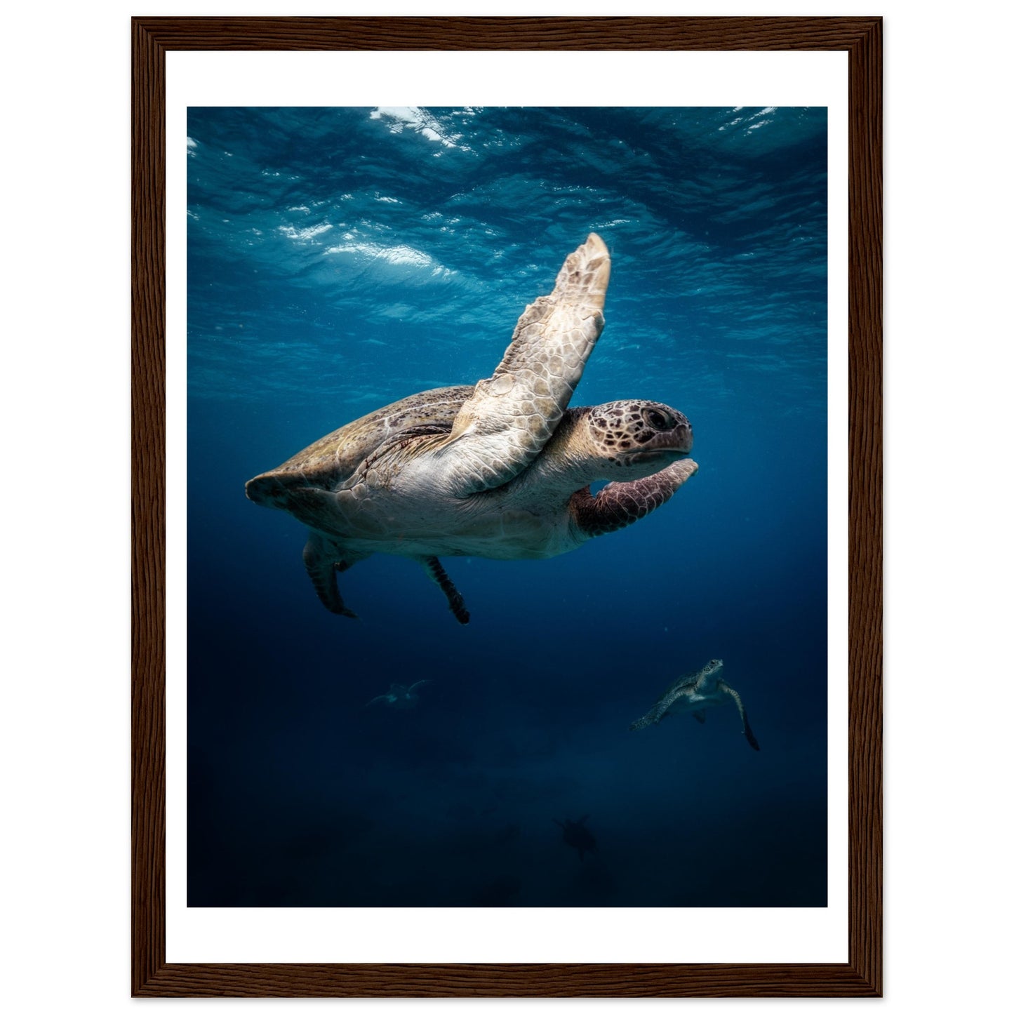 MATING SEA TURTLES - WOODEN FRAME
