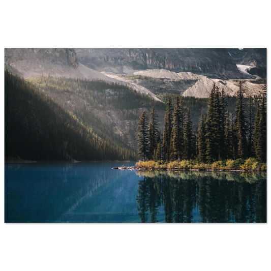 e8bbffbb-ea66-49b3-bc45-1fbf912f5a04