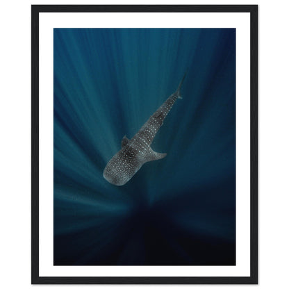 WHALE SHARK IN THE DARKNESS - WOODEN FRAME