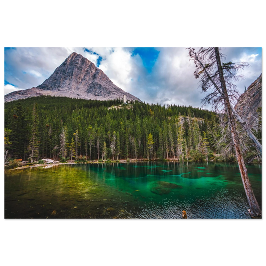 ed27a84d-9f35-47d2-86b8-4364e91f8f8b