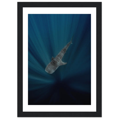 WHALE SHARK IN THE DARKNESS - WOODEN FRAME