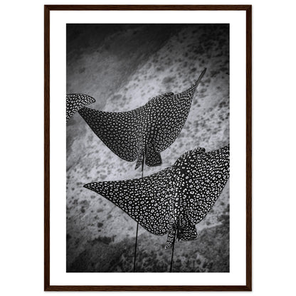 SPOTTED EAGLE RAY SQUAD - WOODEN FRAME