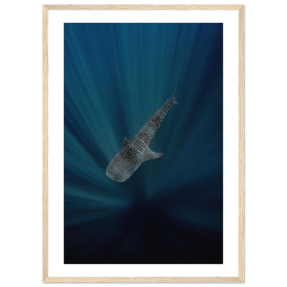 WHALE SHARK IN THE DARKNESS - WOODEN FRAME